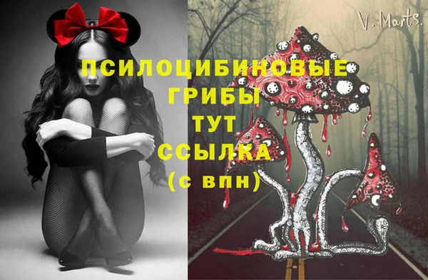 мескалин Каменка