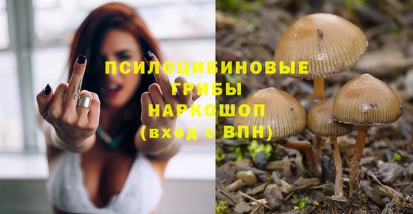 ALPHA PVP Каменногорск