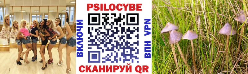 Галлюциногенные грибы ЛСД  Купить где  Бологое 